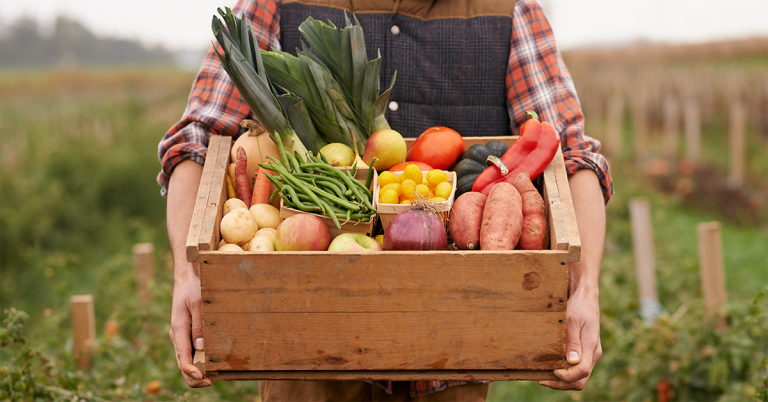 A farmer holding a basket of fresh produce in a field, with rows of crops in the background.