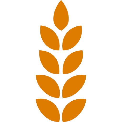www.feedingtexas.org